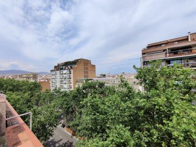 Piso en Alquiler en Barcelona Ronda Sant Pau - Aldana