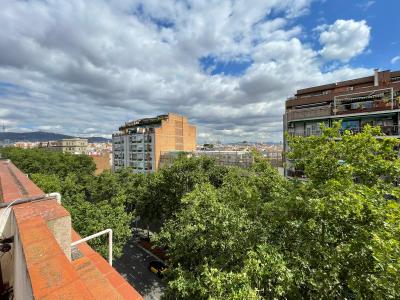 Piso en Alquiler en Barcelona Ronda Sant Pau - Aldana