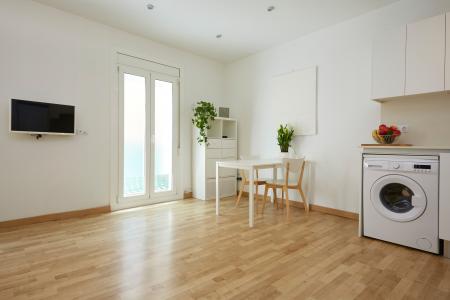 Estudi en Lloguer a Barcelona Moles - Pl. Catalunya