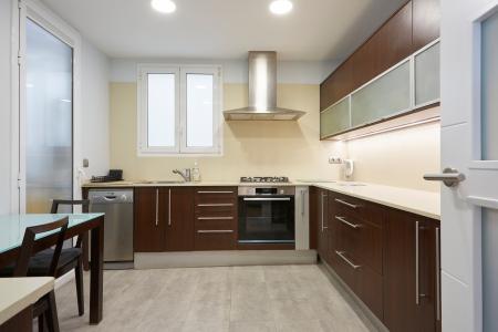 Квартира в аренду в Barcelona Balmes - Aragó