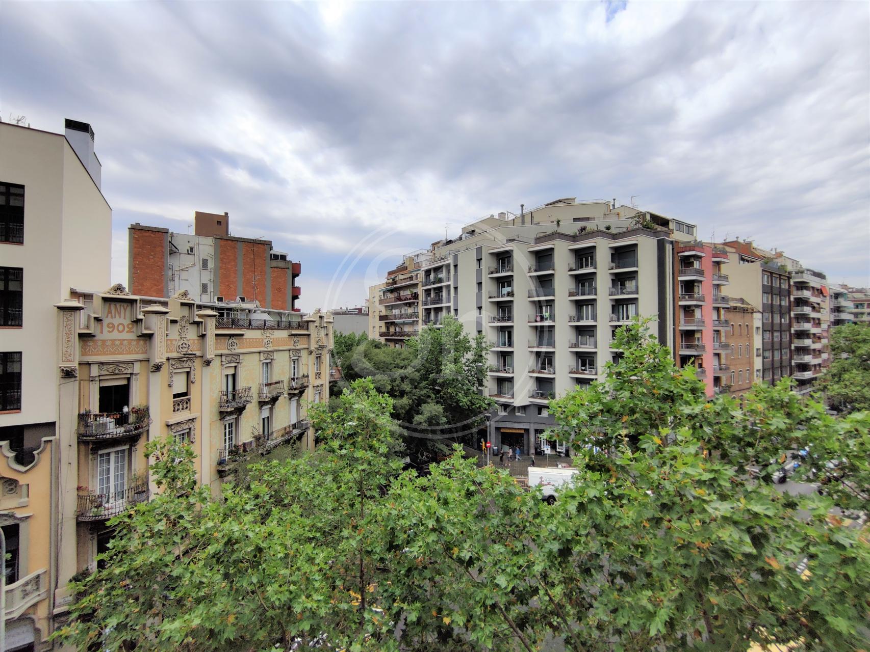 property_image_12