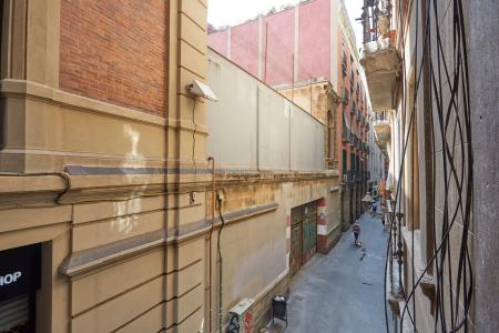 Квартира в аренду в Barcelona Bertrellans - Canuda