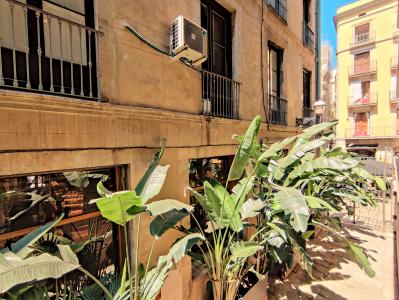 Loft te huur in Barcelona Plaça De Les Olles (precio Con Iva Incluido)