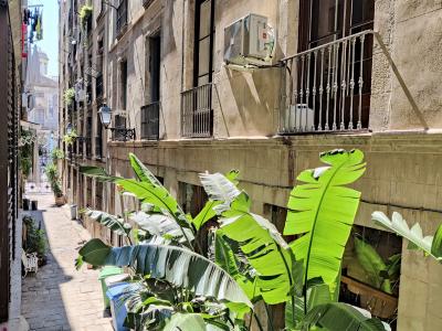 Loft te huur in Barcelona Plaça De Les Olles (precio Con Iva Incluido)