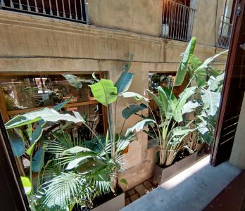 Loft te huur in Barcelona Plaça De Les Olles (precio Con Iva Incluido)