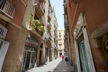 Wohnung zur Miete in Barcelona Santa Margarida - Liceu