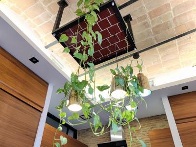 Piso con 2 habitaciones en el centro