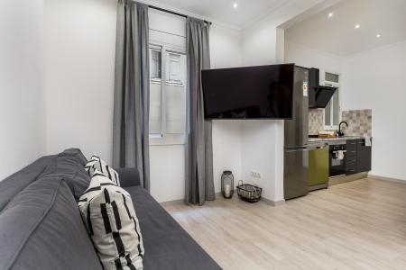 Квартира в Кратковременная аренда в Barcelona Provença - Sicilia