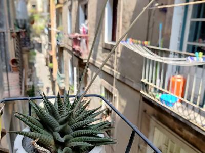 Appartamento in Affitto a Barcelona Mònec - Passatge Sert
