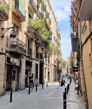 Appartamento in Affitto a Barcelona Mònec - Passatge Sert