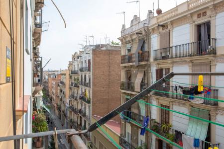 Pis en Lloguer a Barcelona Roser - Magalhaes