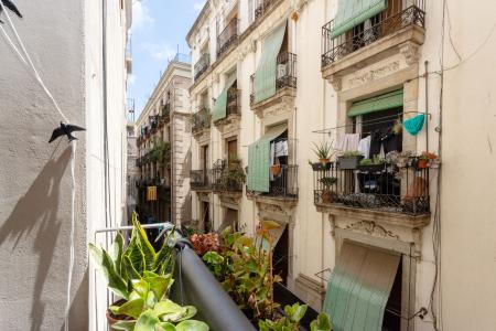 Pis en Lloguer a Barcelona Cometa - Carrer De La Ciutat (min. 6 Months)