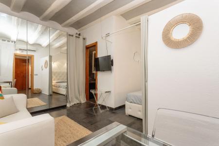Квартира в аренду в Barcelona Argenter  - Sant Pere Mitja