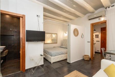 Квартира в аренду в Barcelona Argenter  - Sant Pere Mitja