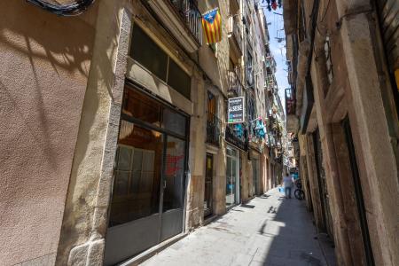 Квартира в аренду в Barcelona Argenter  - Sant Pere Mitja