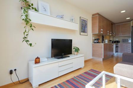 Wohnung zur Miete in Barcelona Cartagena - Provença