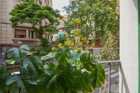 Студия в аренду в Barcelona Riera Alta - Sant Vicenç