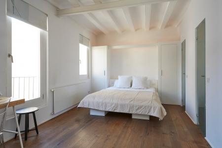 Pis en Lloguer a Barcelona Moles - Pl. Catalunya