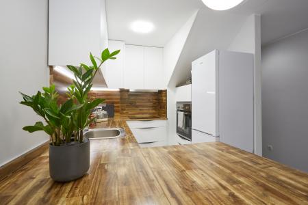 Appartamento in Affitto a Barcelona Mare De Deu Del Remei - Pedreres