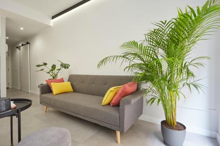 Appartamento in Affitto a Barcelona Mare De Deu Del Remei - Pedreres