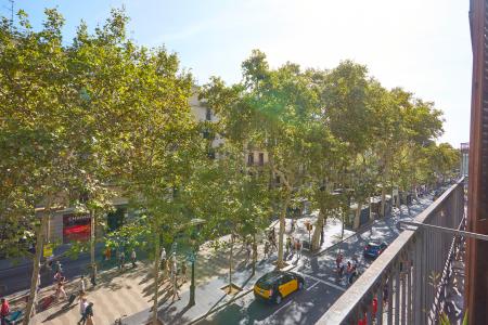 Pis en Lloguer a Barcelona Rambla - Carme