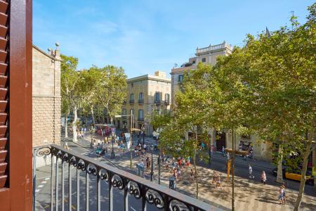 Pis en Lloguer a Barcelona Rambla - Carme