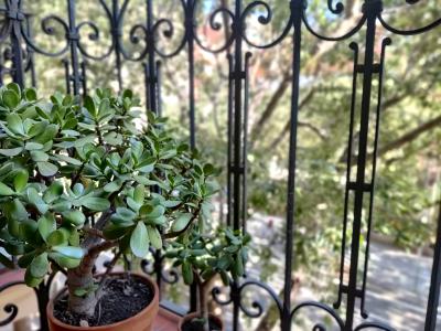 Piso de alquiler en Gràcia