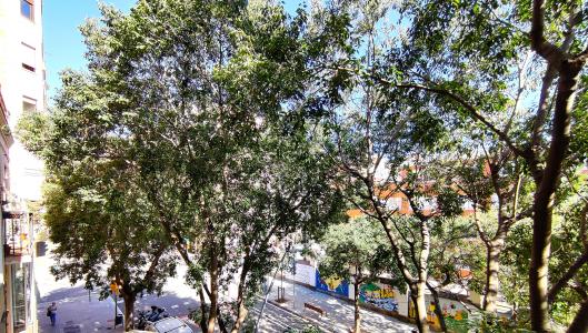 Piso de alquiler en Gràcia