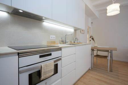 Apartment for Rent in Barcelona Botella - Plaça Del Pedró