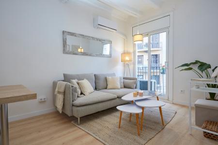 Apartment for Rent in Barcelona Botella - Plaça Del Pedró