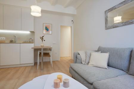 Apartment for Rent in Barcelona Botella - Plaça Del Pedró