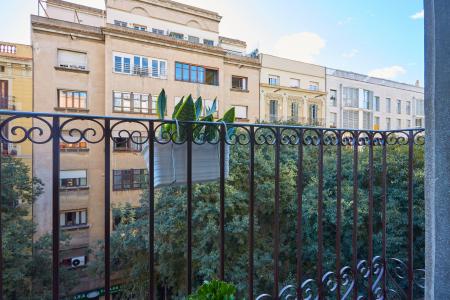 Pis en Lloguer a Barcelona Sepúlveda - Casanova