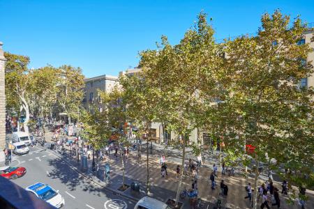 Pis en Lloguer a Barcelona La Rambla - Carme