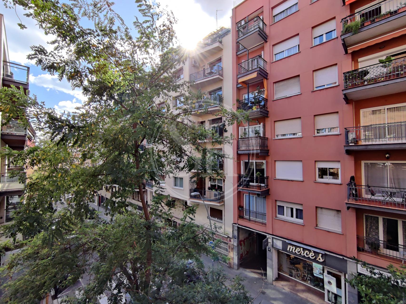 property_image_20