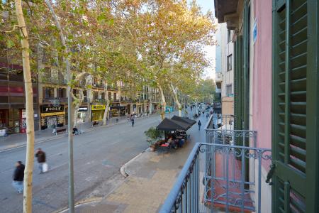 Appartamento in Affitto a Barcelona Ronda Sant Antoni - Mercat