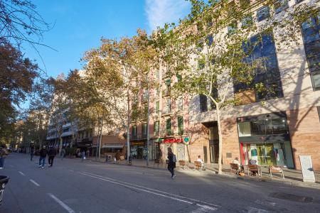 Appartamento in Affitto a Barcelona Ronda Sant Antoni - Mercat