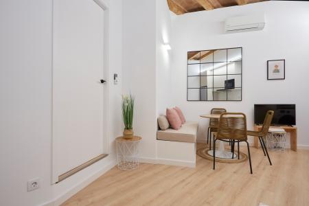 Appartamento in Affitto a Barcelona Ronda Sant Antoni - Mercat