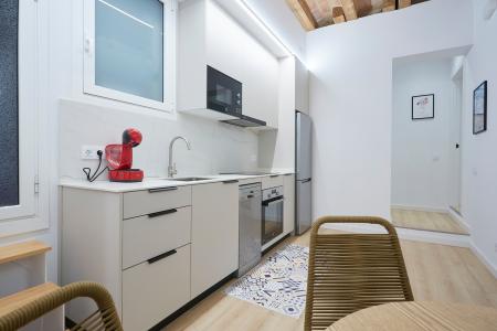 Appartamento in Affitto a Barcelona Ronda Sant Antoni - Mercat