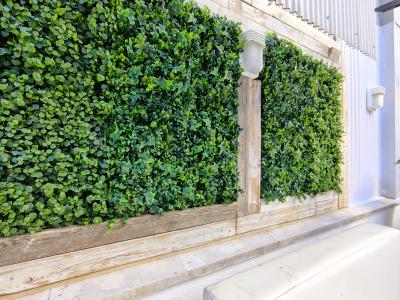 Apartment for Rent in Barcelona Magalhaes - Creu Dels Molers