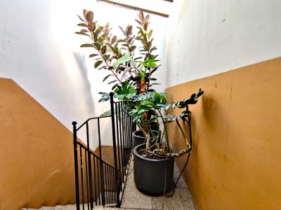 Bonito piso de alquiler en Ciutat Vella