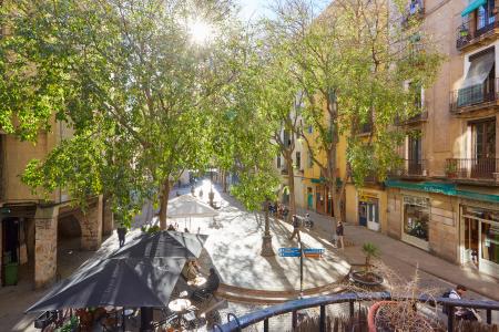 Pis en Lloguer a Barcelona Portal Nou - Born (min 6 Months)