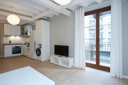 Pis en Lloguer a Barcelona Portal Nou - Born (min 6 Months)