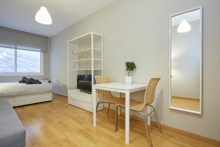 Estudi en Lloguer a Barcelona Saragossa - Padua