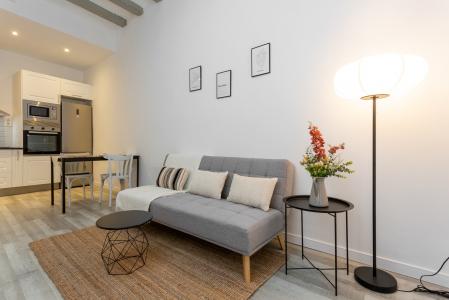 Acogedor piso de alquiler en el centro