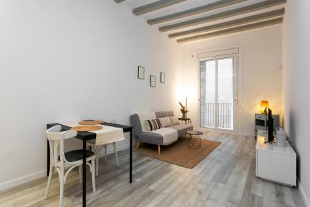 Acogedor piso de alquiler en el centro