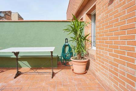 Pis en Lloguer a Barcelona Canalejas - Hostafrancs