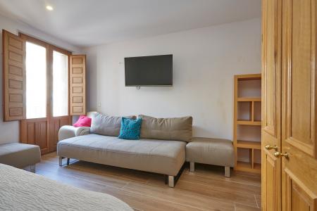 Pis en Lloguer a Barcelona Ferran - Pl. De Sant Jaume