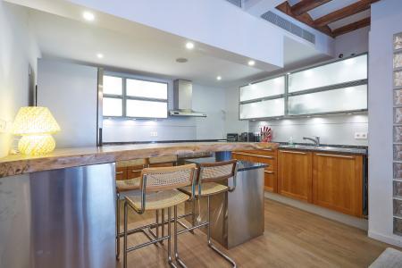 Pis en Lloguer a Barcelona Ferran - Pl. De Sant Jaume