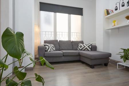 Квартира в аренду в Barcelona Ausias March - Plaça Urquinaona