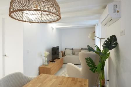 Inmueble de alquiler en El Born